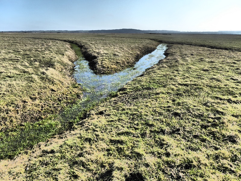 wet rills on area of marsh not shot Feb 2019